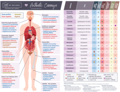 blurred thumbnail SMNP Antibiotic Coverage Visual Reference